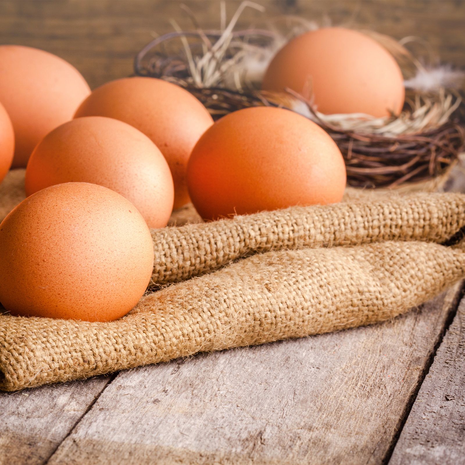 Frische Eier vom Jürshof aus Soltau